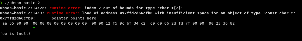 img/ubsan-trap/ubsan-basic.png